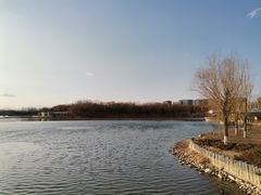 -大兴滨河森林公园