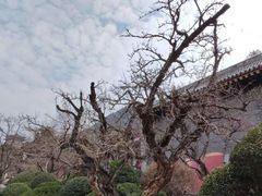 -华清宫景区
