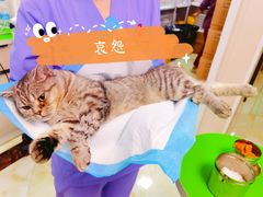-德元·美联众合24小时动物医院(总院)