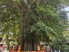 -潭柘寺景区