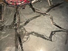 -现代汽车文化中心 Hyundai Motorstudio Beijing