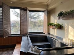 -春晖园度假酒店温泉