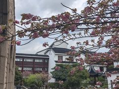 -苏州吴宫泛太平洋酒店