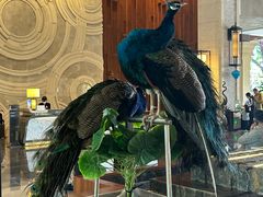 -西双版纳融创皇冠假日度假酒店