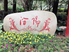 -上海汾阳花园酒店