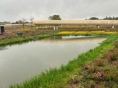 -江苏三台山国家森林公园
