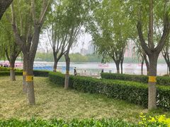 -莲花池公园