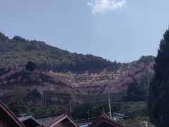 -灵光寺