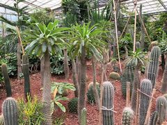 -呀路古热带植物园
