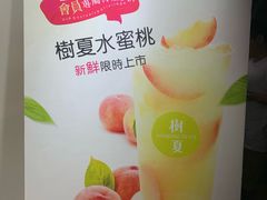 -树夏(建设路店)