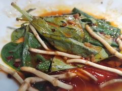 -雲蜀龙阁·金牌水煮鱼(方庄店)