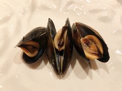 -Oyster Talks 四度蚝法餐厅