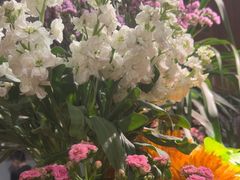 -春暖花开(西溪店)