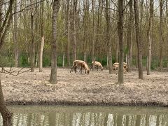 -溱湖国家湿地公园