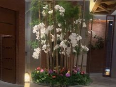 -浅深Cheersum(曹杨店)