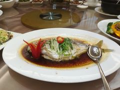 清蒸海边鱼-东方御宴海鲜酒楼(棕泉酒店)