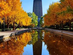 -玲珑塔公园