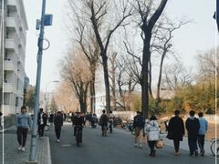 -北大家园食堂