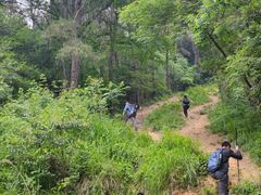 -青龙山国家森林公园