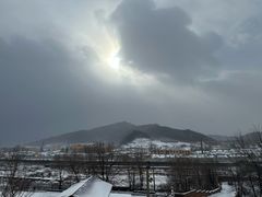 -横道河子东北虎林园