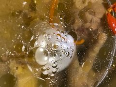 -同庆楼(金宝汇店)