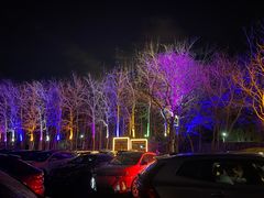 -枫花园汽车电影院(朝阳公园店)
