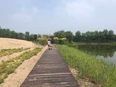 -东郊湿地公园