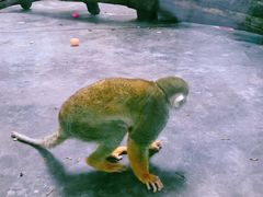 -西安秦岭野生动物园