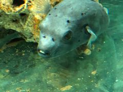 -泉州海丝野生动物世界