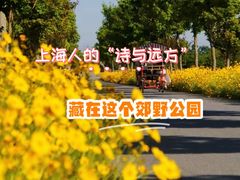 -嘉北郊野公园