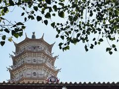 -梅州天地人花园酒店(梅县人民广场店)