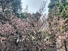 -无锡梅园公园