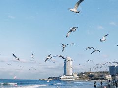 -青岛第二海水浴场