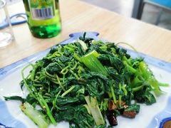 凉拌刺五加-鑫源羊汤馆(总店)