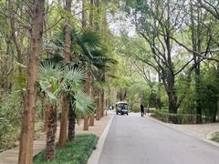 -同里国家湿地公园