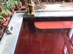 -悦隆庄温泉度假酒店