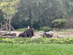 -北京野生动物园