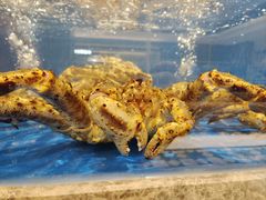 -帝皇海海鲜豆捞(桐泾商务广场店)