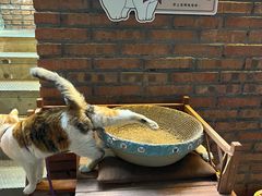 -龙厂长老火锅(抚琴店)
