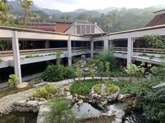 -云顶高原