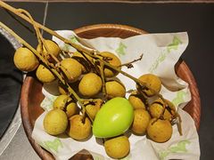 -季季山·云南野生菌火锅(上海首店)