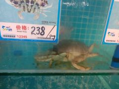 -琼大师东方烤乳猪(亚特兰蒂斯店)