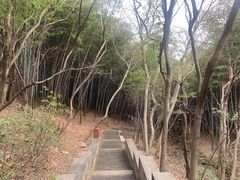 -穹窿山景区