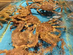 -徐记海鲜·家宴(南油永新汇店)