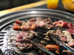 -九寸钉自助·炭火烤肉烧烤(欧乐时尚广场店)