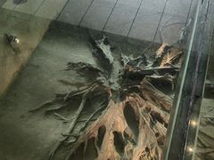 -金沙遗址博物馆