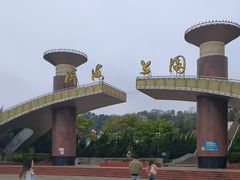 -洱海月湿地公园