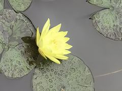 -花果园湿地公园