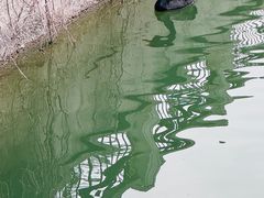 -北坞公园