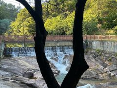 -广州白江湖森林公园